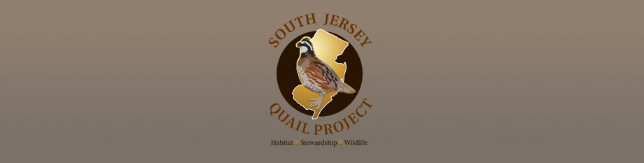 South Jersey Quail Project 