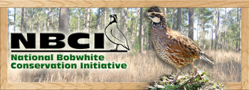 National Bobwhite Conservation Initiative